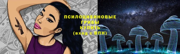 молекула духа Гусев
